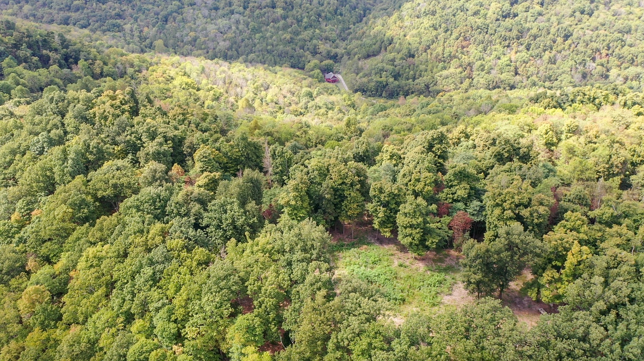 7659 Burks Road Christiana, TN 37037 - Photo 32 of 32 a view of a yard with a plant