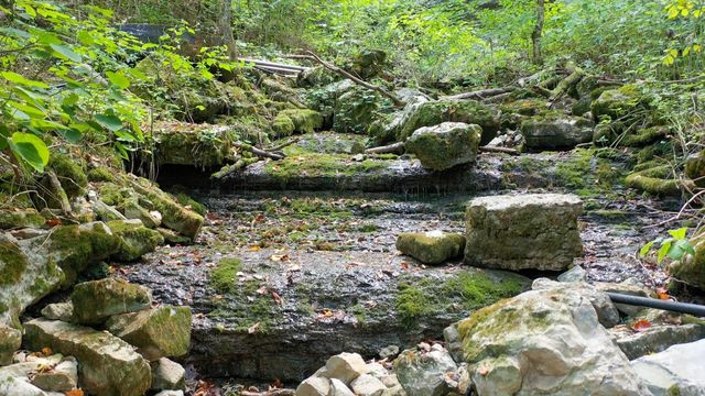 a view of a garden with sitting area