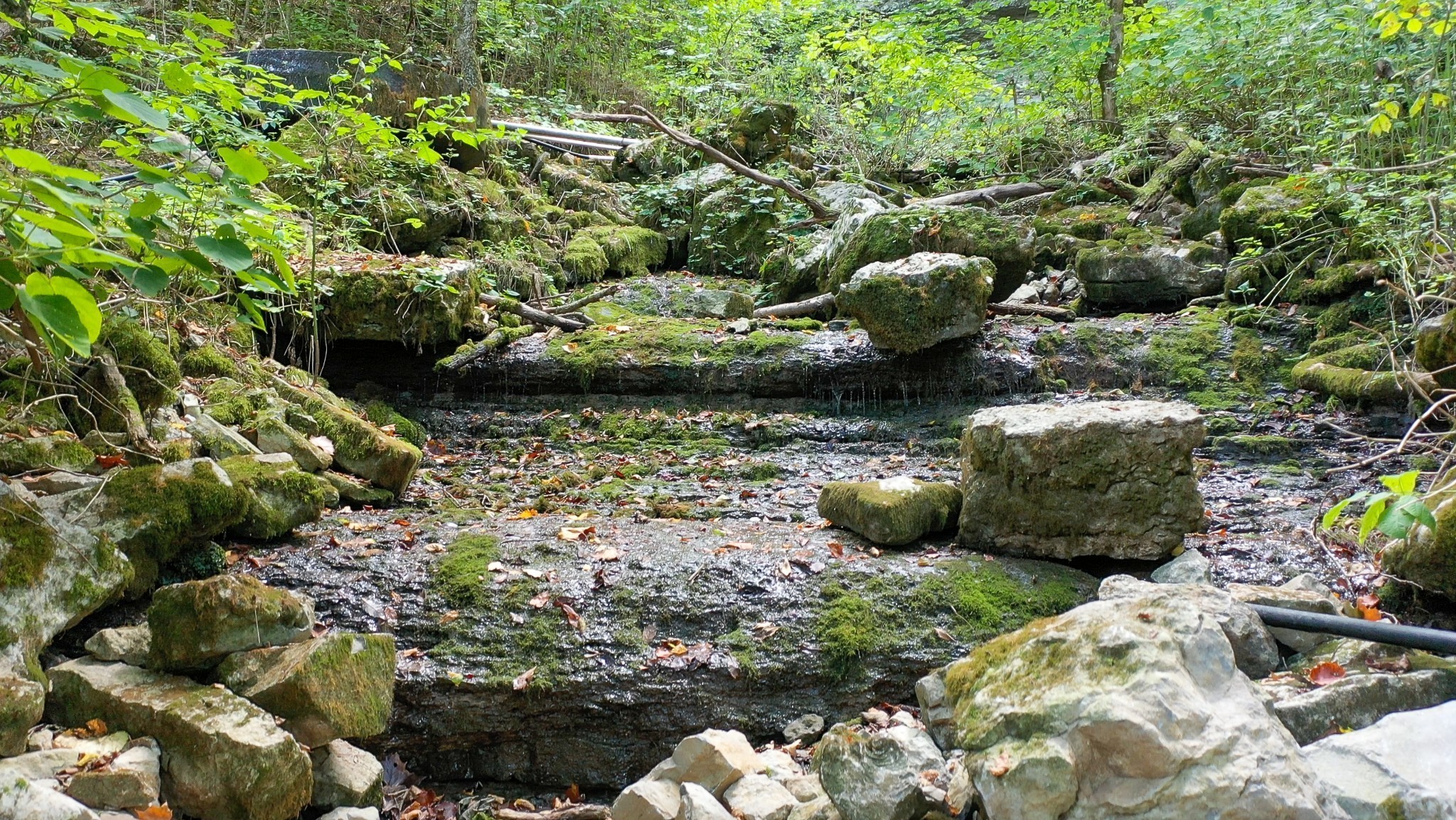 7659 Burks Road Christiana, TN 37037 - Photo 4 of 32 a view of a garden with sitting area