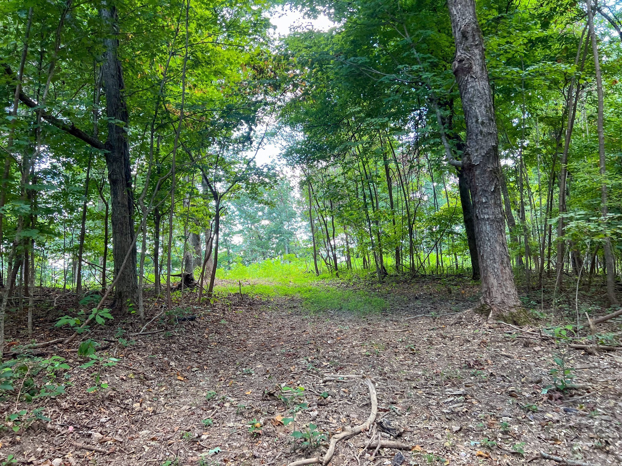 7659 Burks Road Christiana, TN 37037 - Photo 5 of 32 a view of a house with a backyard