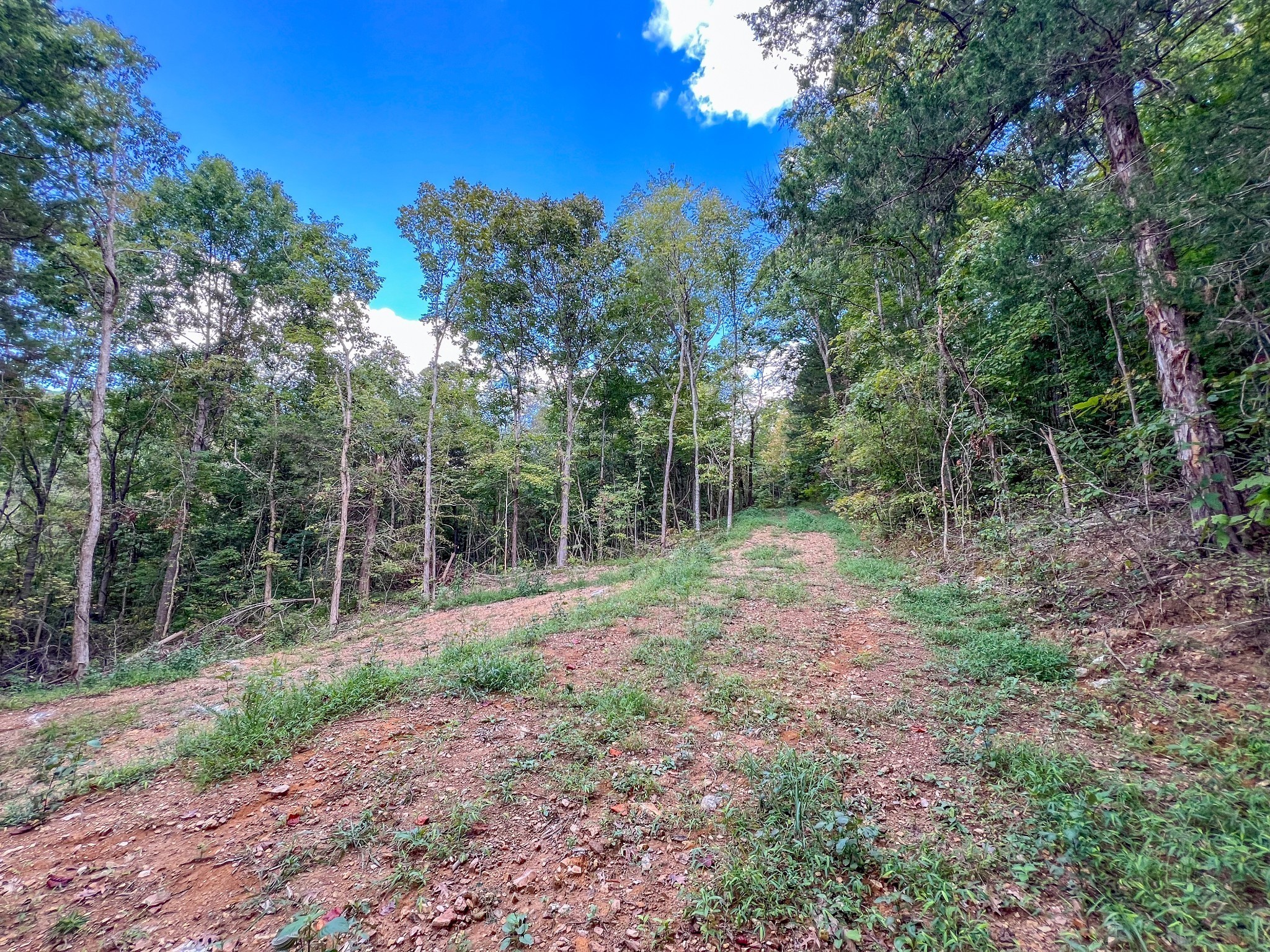 7659 Burks Road Christiana, TN 37037 - Photo 8 of 32 a view of a yard with trees in the background