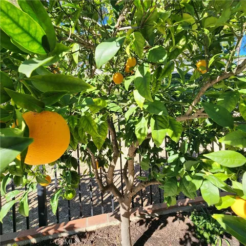 $5,850 | 26431 Lombardy Road, Mission Viejo, CA 92692