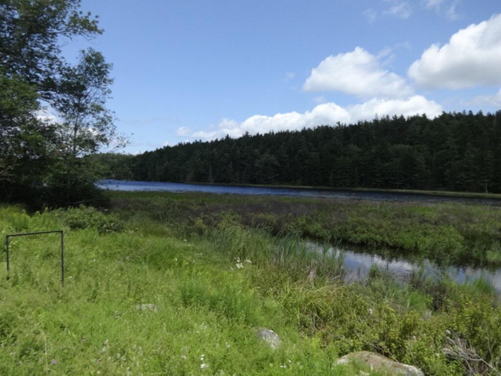 65 Hodgdon Road Seal Cove, ME 04674 - Photo 9 of 27 pond
