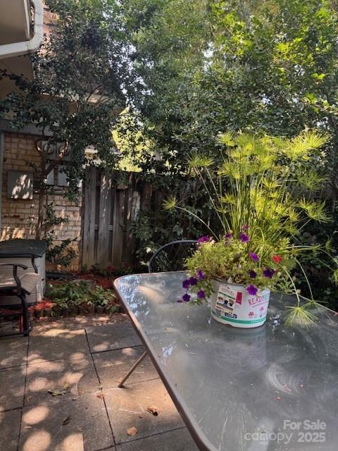 2227 Rexford Road Charlotte, NC 28211 - Photo 22 of 31 a view of a backyard with a garden