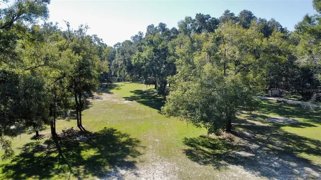 a view of a lake with large trees