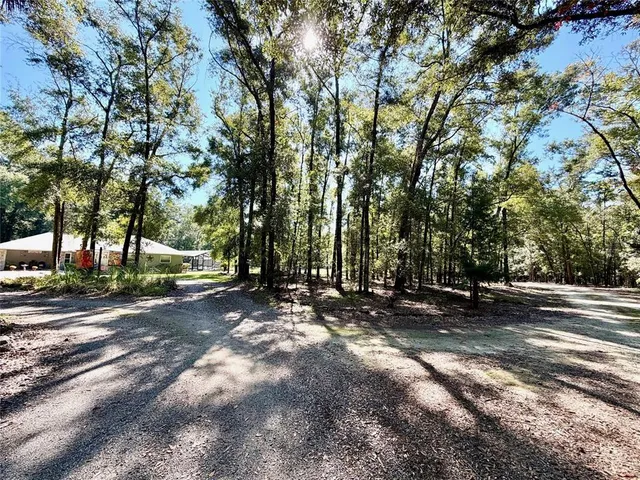 a view of a street with a tree