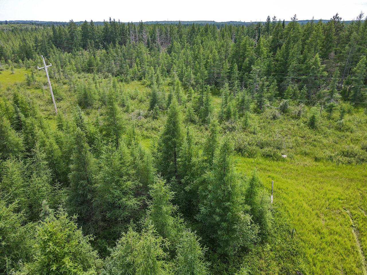 47 Rhinelander Wi 54543 Rhinelander, WI 54501 - Photo 37 of 44 Gallery Image 37