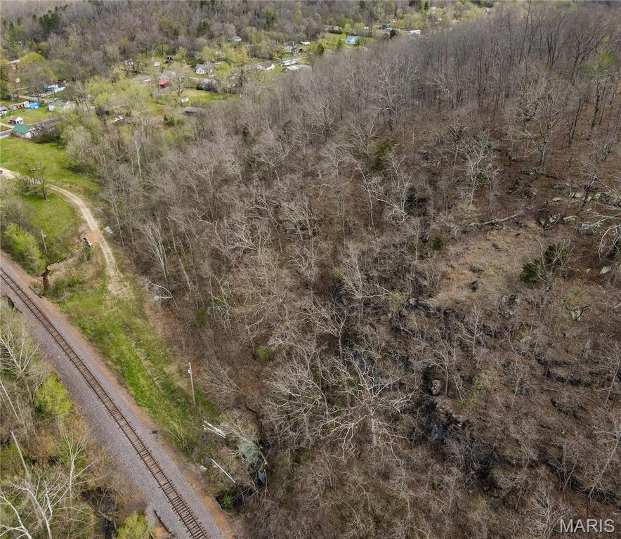0 1st Street Mill Spring, MO 63952 - Photo 4 of 15