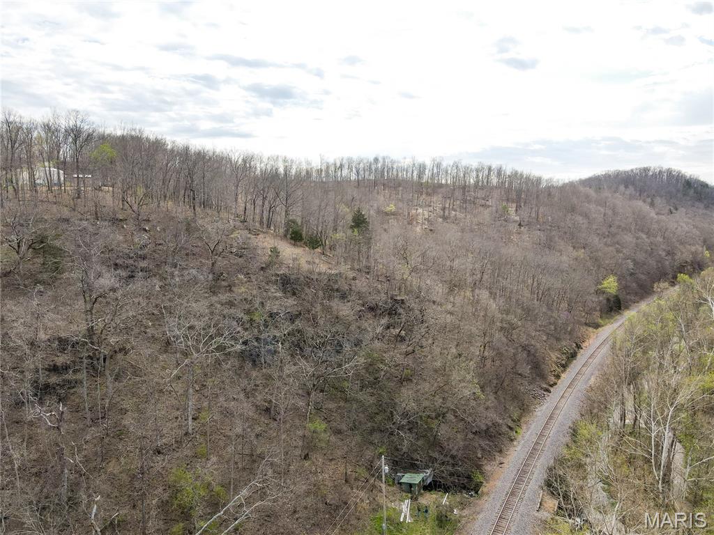 0 1st Street Mill Spring, MO 63952 - Photo 5 of 15