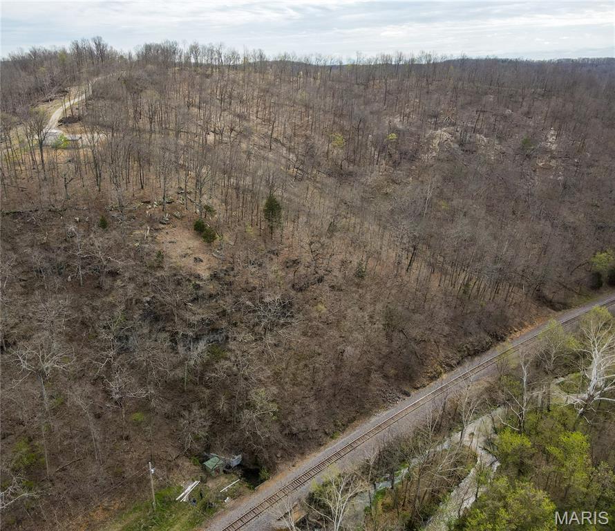 0 1st Street Mill Spring, MO 63952 - Photo 9 of 15