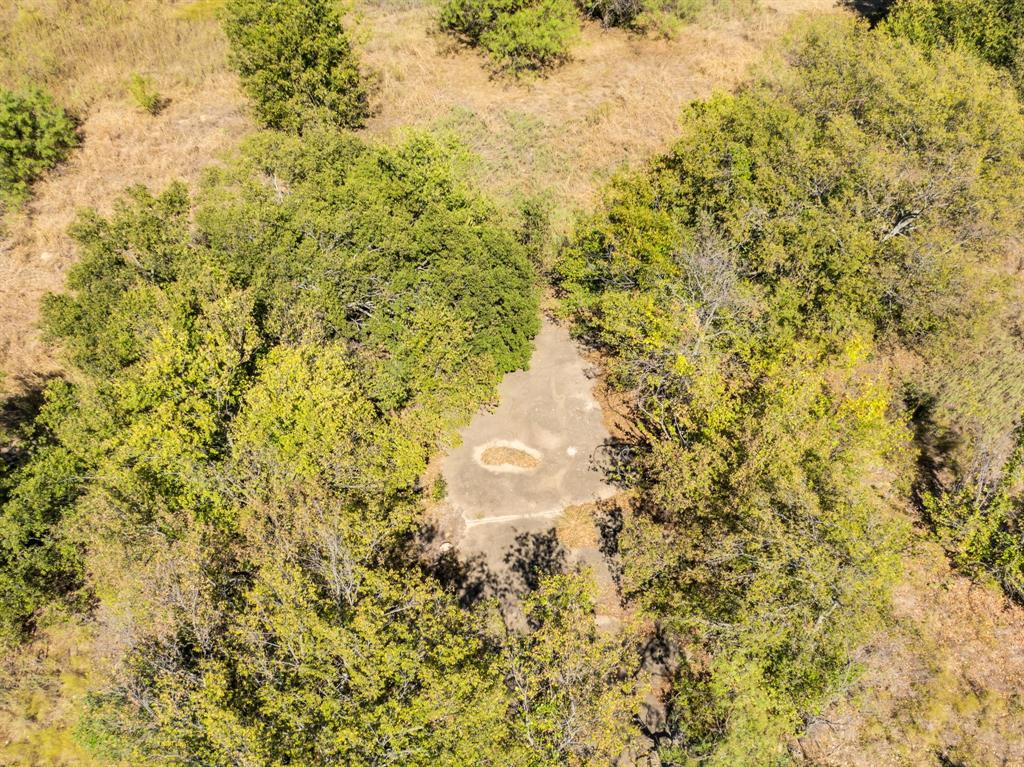 485 South Magnolia Street Crowley, TX 76036 - Photo 20 of 21 a close up of a tree