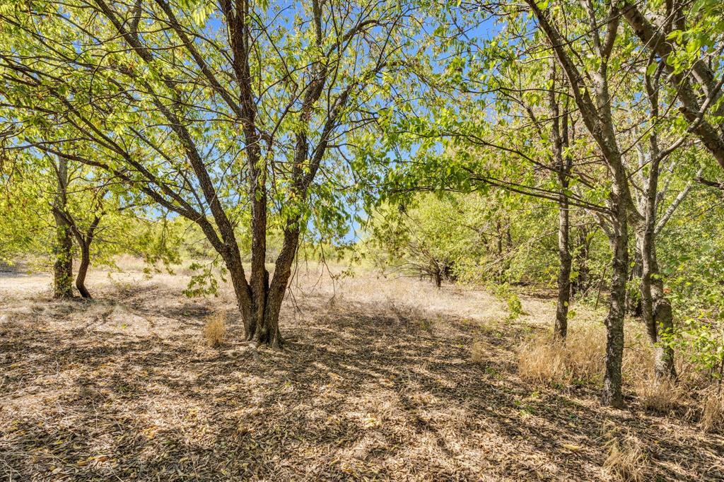 485 South Magnolia Street Crowley, TX 76036 - Photo 2 of 21 a view of backyard of a house