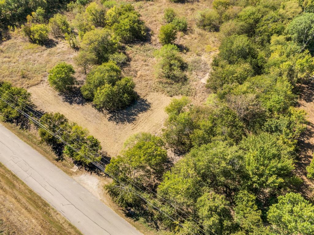 485 South Magnolia Street Crowley, TX 76036 - Photo 3 of 21 a view of a yard with plants and tree