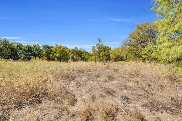 a view of a green field