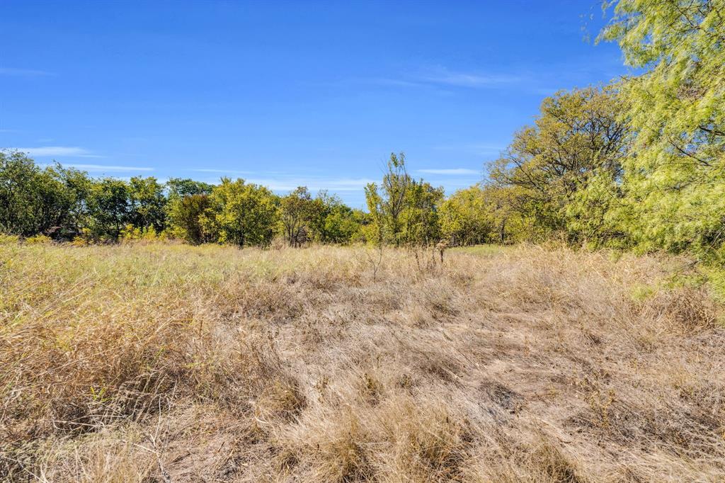 485 South Magnolia Street Crowley, TX 76036 - Photo 7 of 21