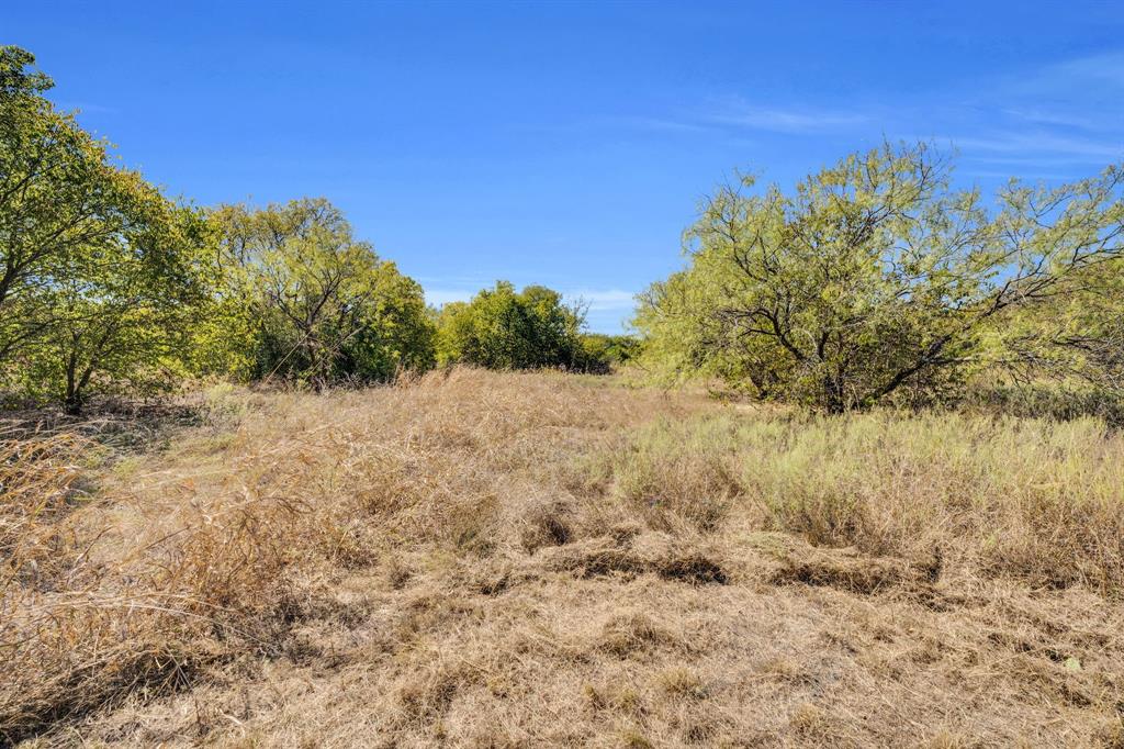 485 South Magnolia Street Crowley, TX 76036 - Photo 10 of 21 a view of a yard with a tree