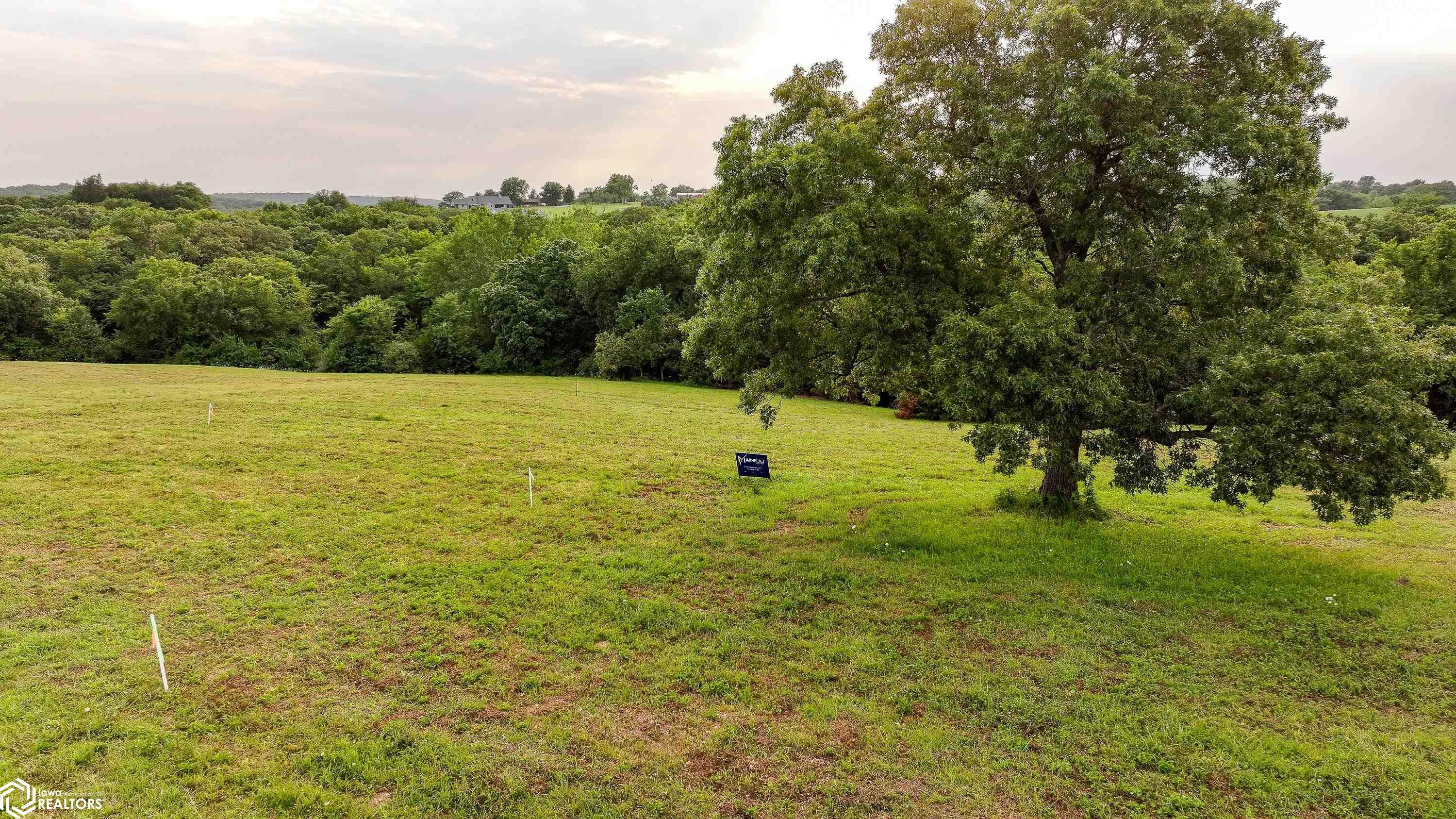 24780 Trail Ridge Road Adel, IA 50003 - Photo 2 of 26 Gallery Image 2