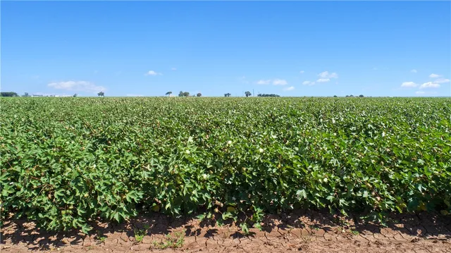 $725,000 | 12485 Sandy Point Road, Bryan, TX 77807