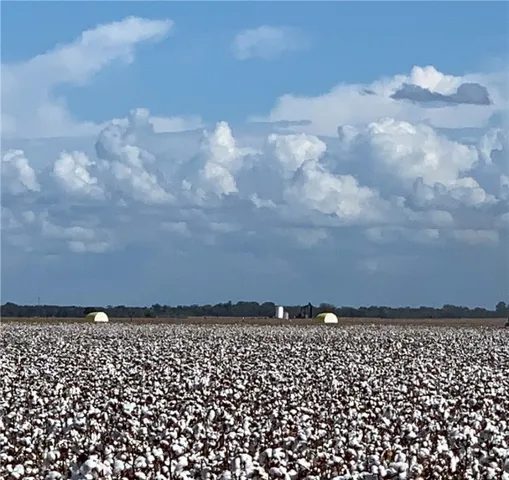 $725,000 | 12485 Sandy Point Road, Bryan, TX 77807