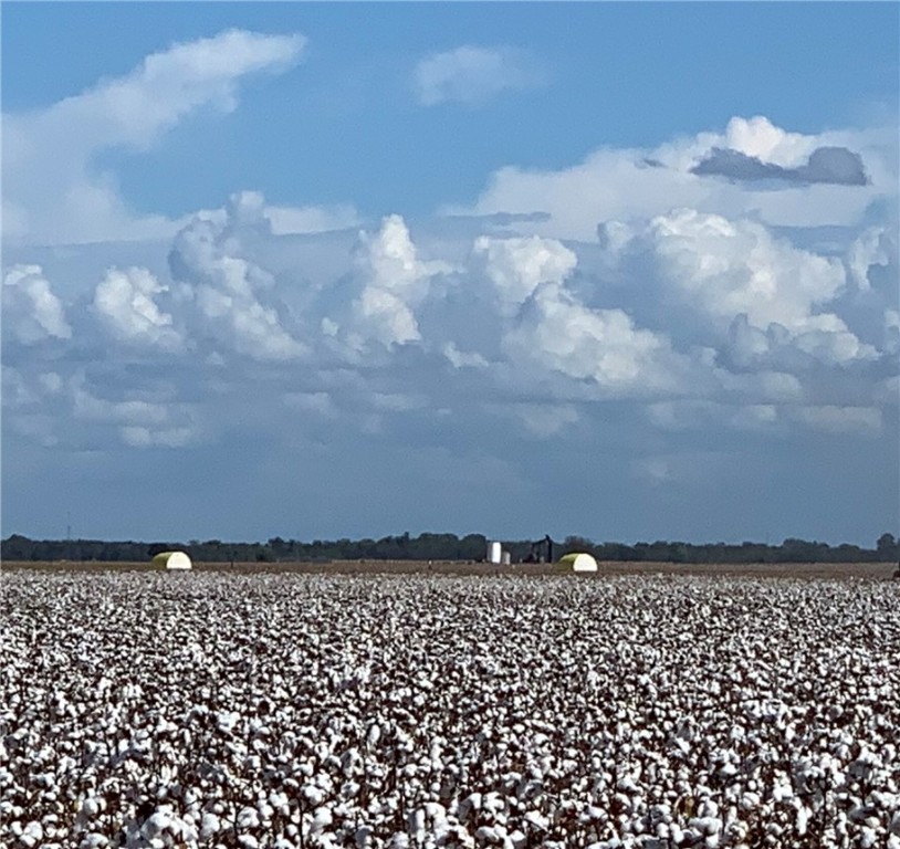 12485 Sandy Point Road Bryan, TX 77807 - Photo 13 of 14