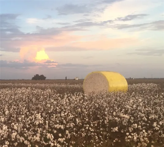 $725,000 | 12485 Sandy Point Road, Bryan, TX 77807