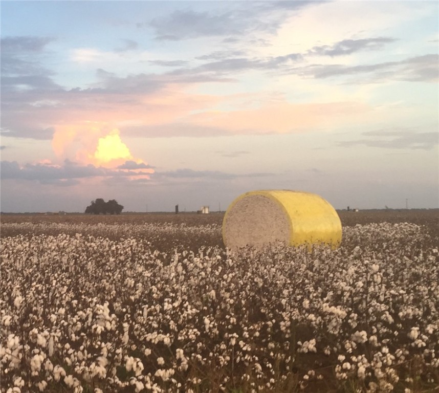 12485 Sandy Point Road Bryan, TX 77807 - Photo 14 of 14