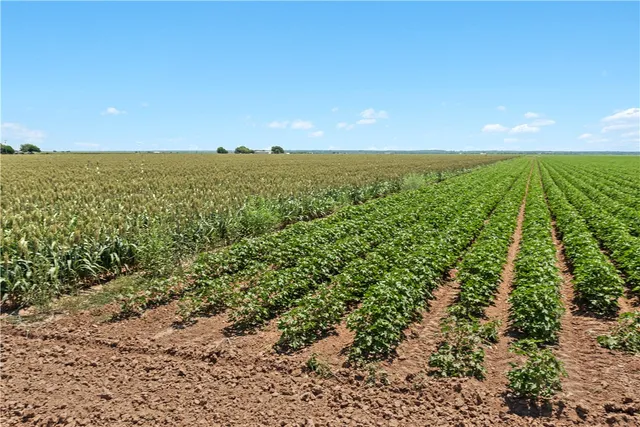 $725,000 | 12485 Sandy Point Road, Bryan, TX 77807