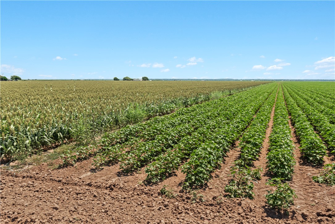 12485 Sandy Point Road Bryan, TX 77807 - Photo 9 of 14