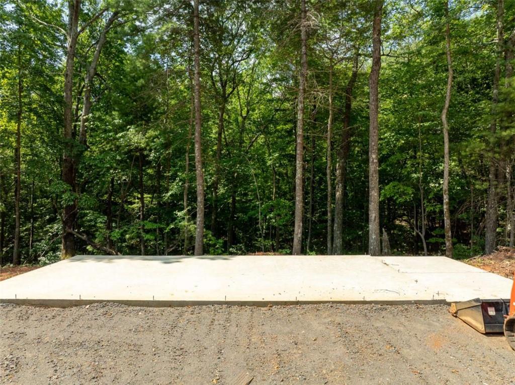 1298 Cold Stream Trail Jasper, GA 30143 - Photo 25 of 57