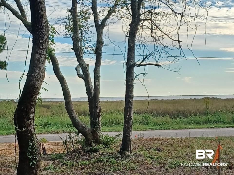 0 Shell Belt Road Mobile, AL 36603 - Photo 11 of 11
