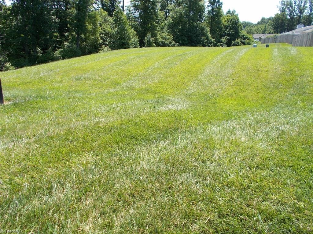 2790 WaterStone Loop High Point, NC 27265 - Photo 24 of 24 Beyond the privacy of your enclosed patio you'll find a large common area