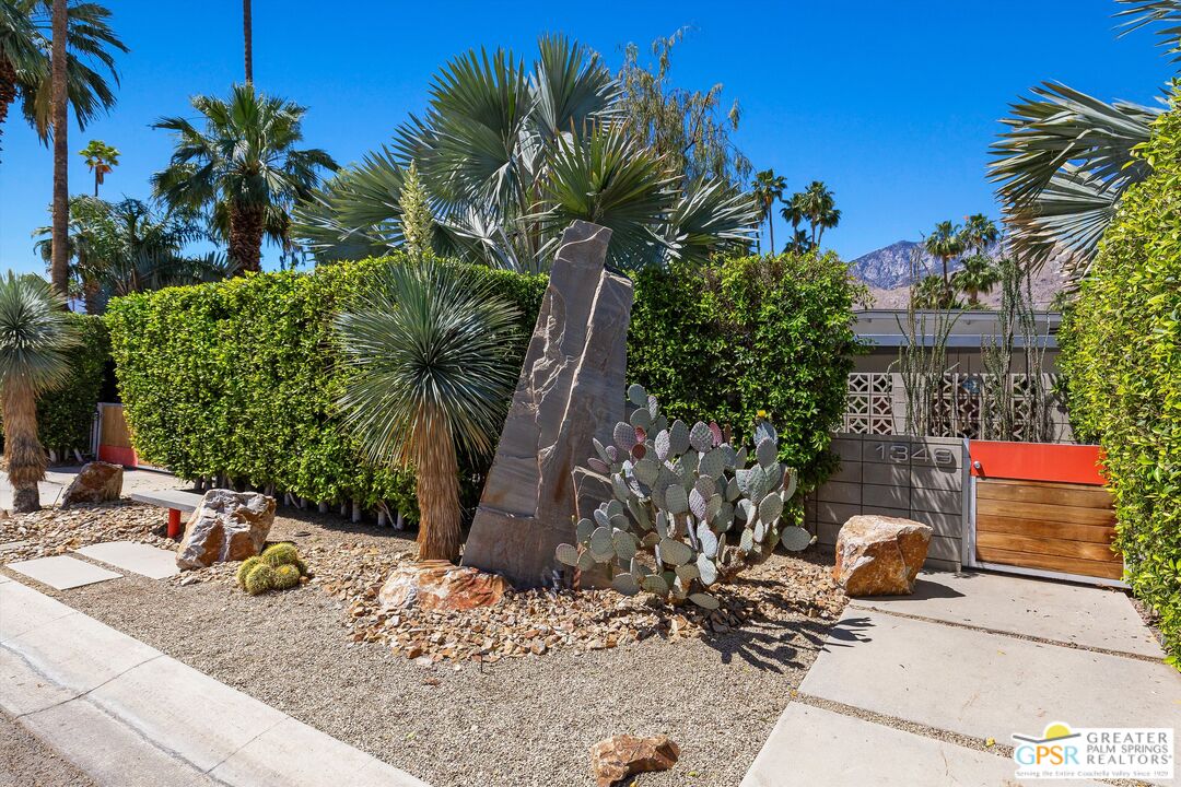 1349 Sagebrush Road Palm Springs, CA 92264 - Photo 47 of 61 a view of a backyard with plants and palm trees