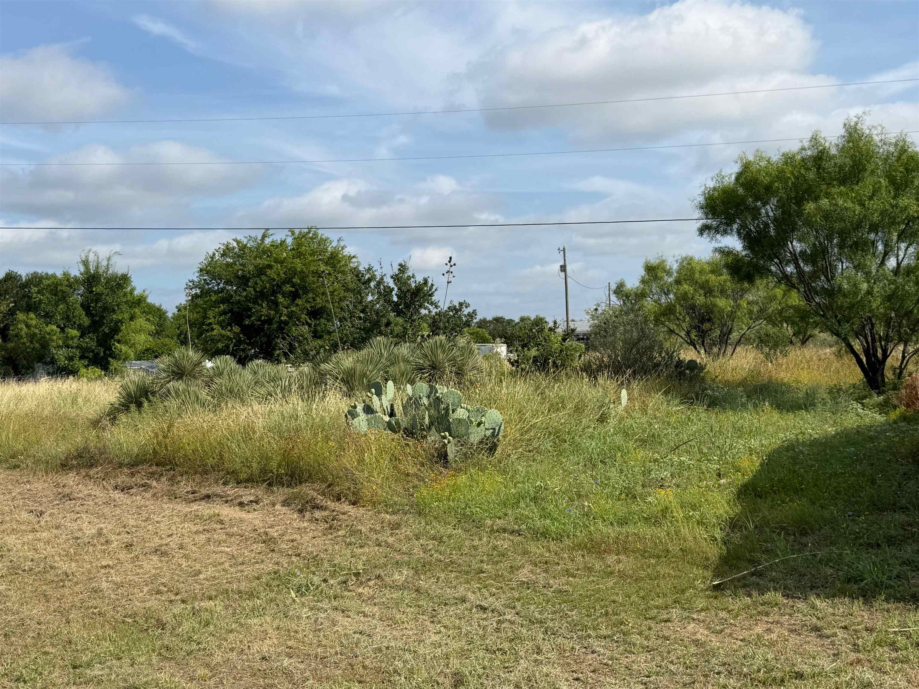 206 Thurman Loop Llano, TX 78643 - Photo 7 of 41