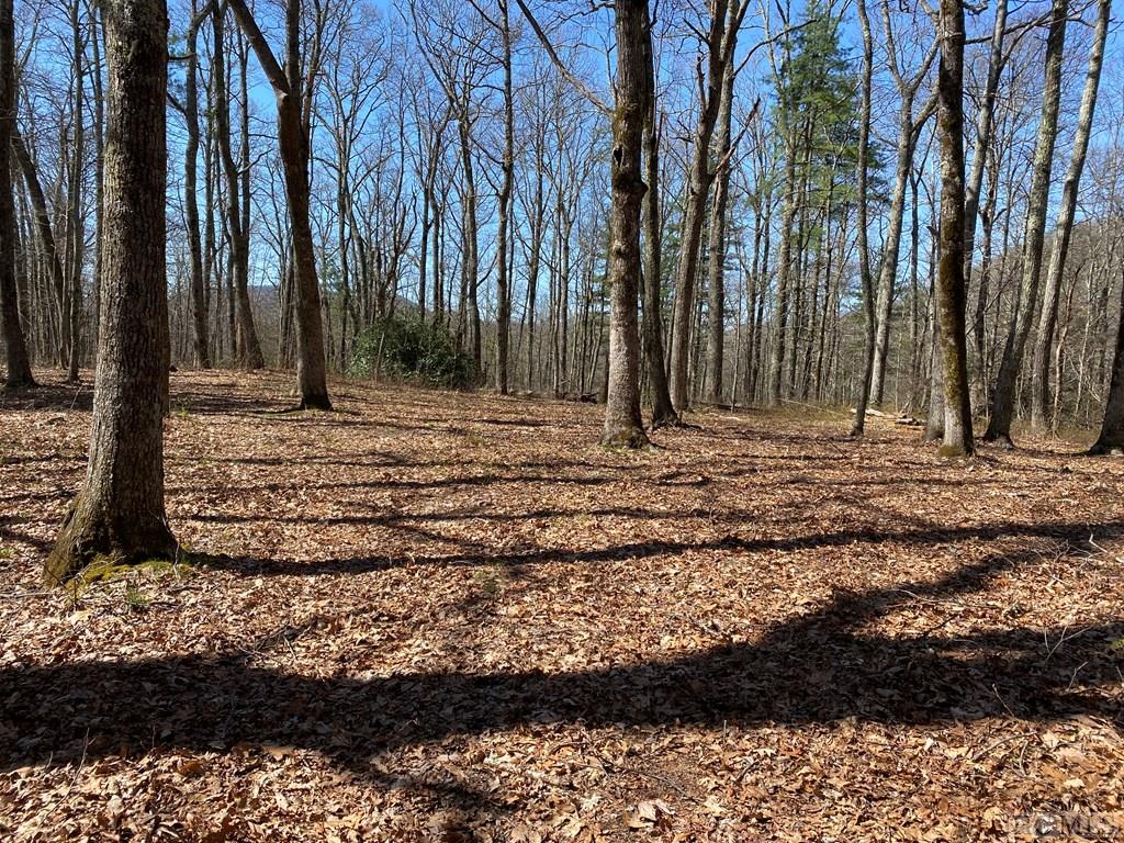0 Salt Rock Road Highlands, NC 28741 - Photo 19 of 21 Gallery Image 19