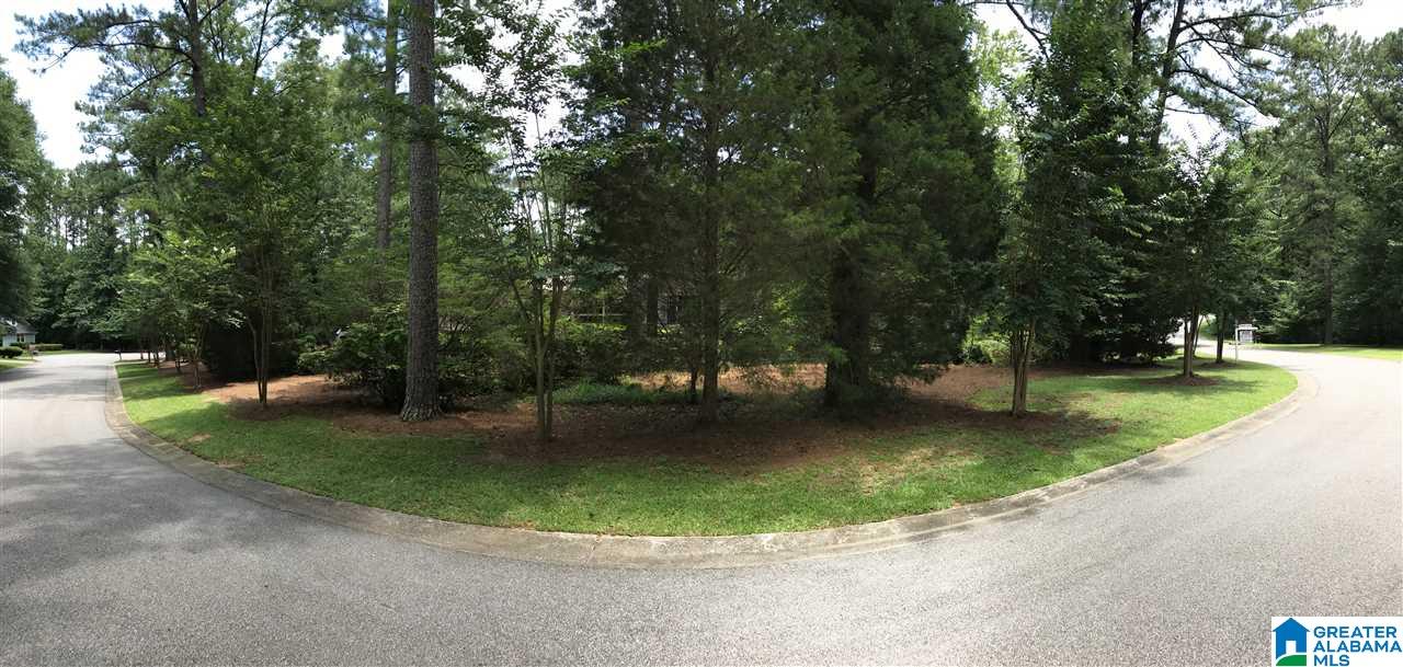 2425 Brook Run Birmingham, AL 35244 - Photo 47 of 48