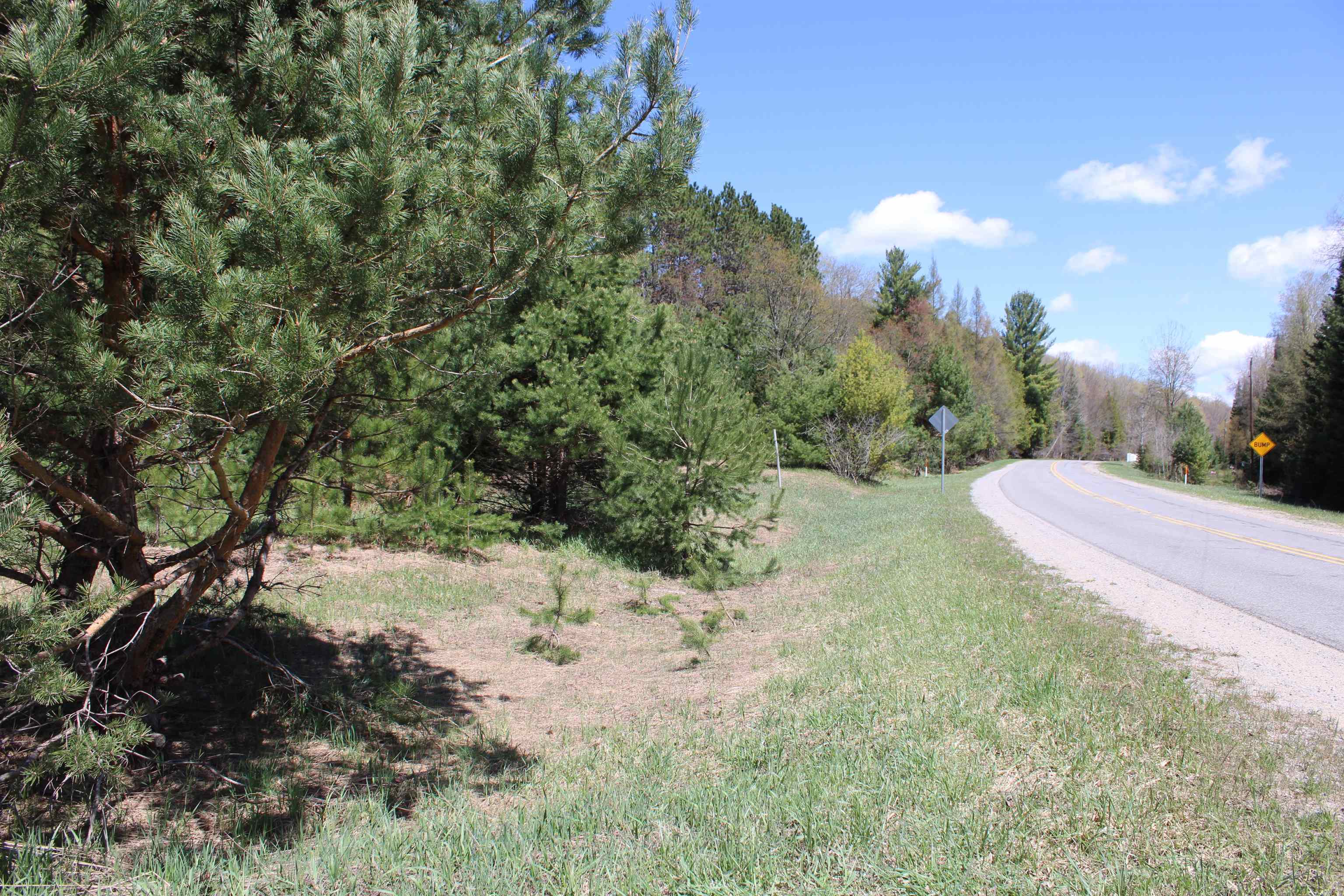 Valley Rd Rapid Rapid City, MI 49676 - Photo 3 of 36