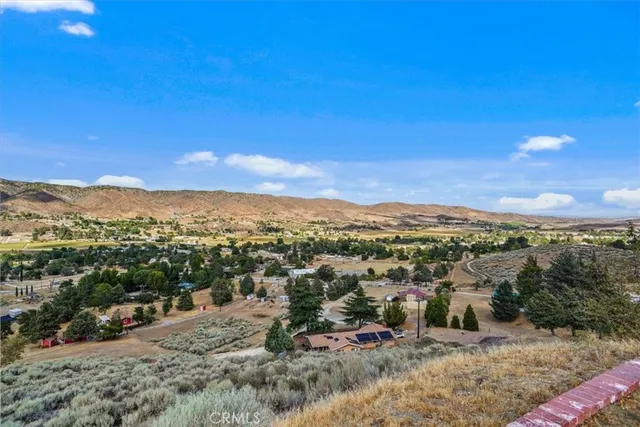 a view of a yard with snow on the road and covered with trees in the background