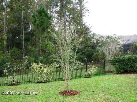 Backyard and preserve 2