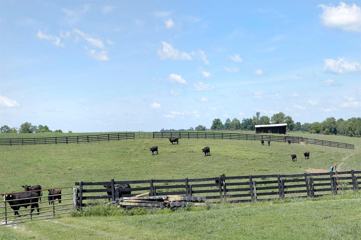 2205 Stamping Ground Road Stamping Ground, KY 40379 - Photo 50 of 55 Photo 50
