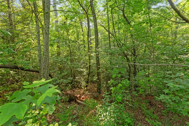 $205,303 | 0 Homeland (14.77 Acres) Dr Mountain Rest, Mountain Rest, SC 29664