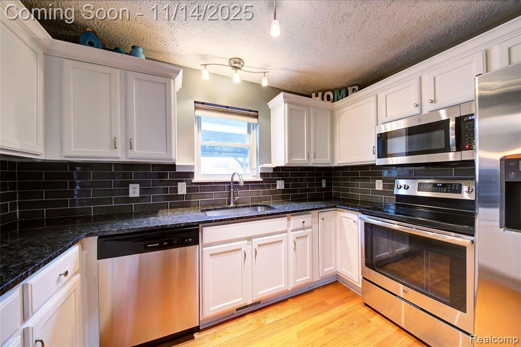 117 Turtle Trace Pinckney, MI 48169 - Photo 9 of 23 Gallery Image 9