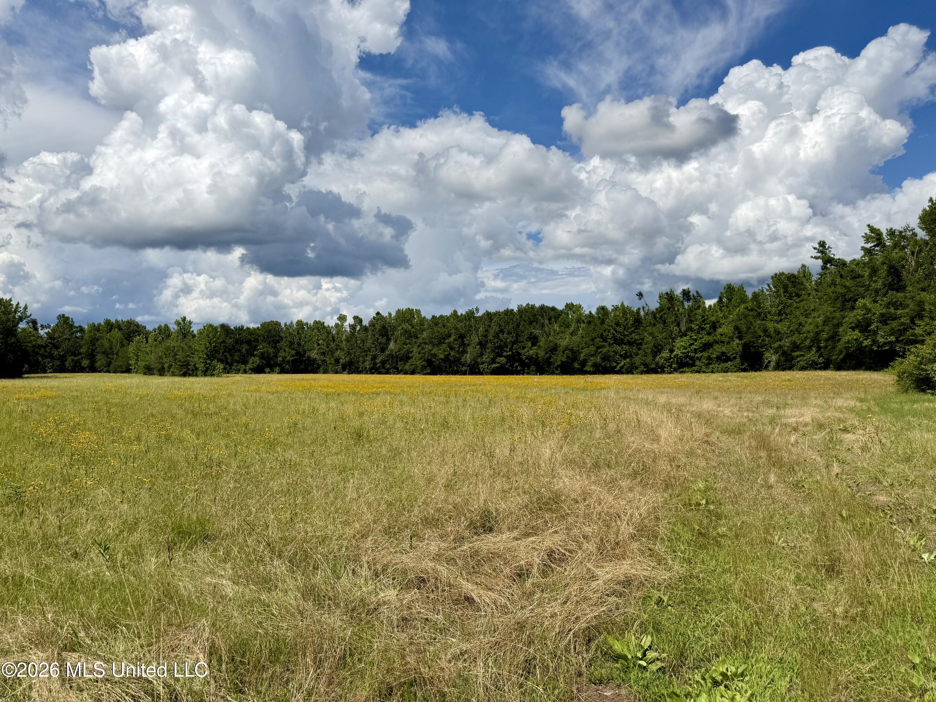 2900 Rockport Rd A Lexington, MS 39095 - Photo 22 of 59 Photo May 29 2026, 3 15 50 PM