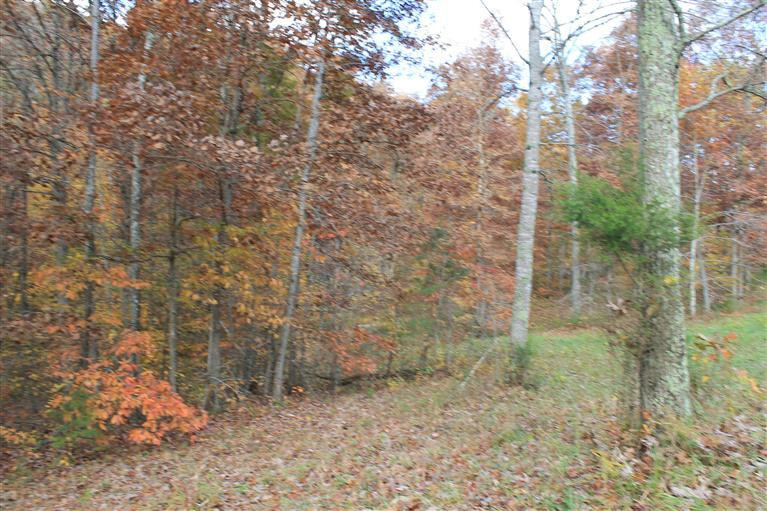 547 Joe Damrell Road Berea, KY 40403 - Photo 3 of 5 Photo 3