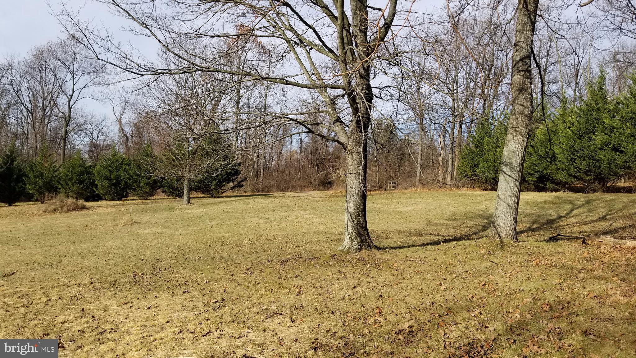 221 West Ridge Road Dillsburg, PA 17019 - Photo 8 of 9 Gallery Image 8