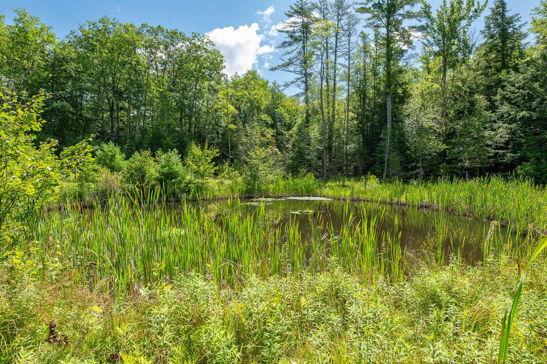 84 Shady Nook Road Newfield, ME 04095 - Photo 35 of 41 84 Shady Nook Road