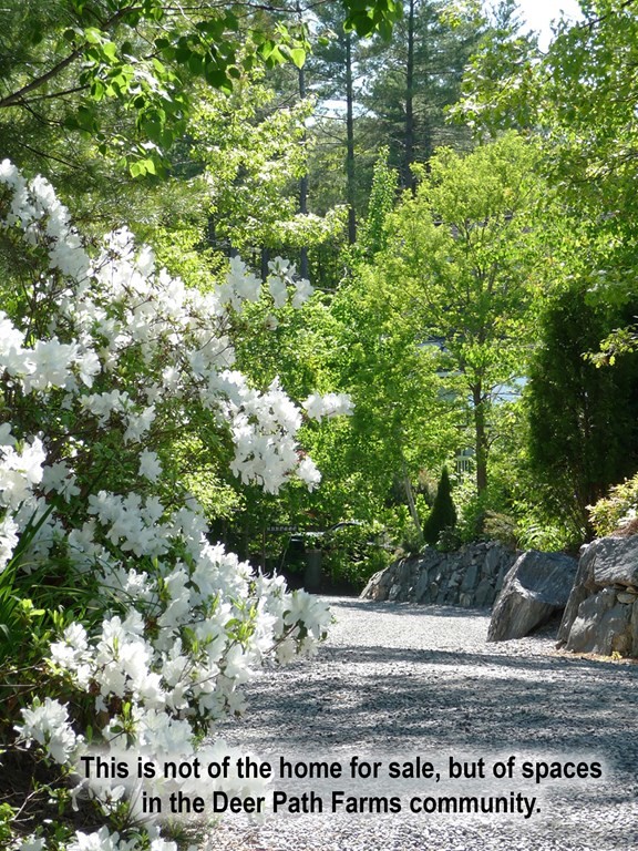 9 Wildflower Path, Unit 9 Hudson, MA 01749 - Photo 23 of 25 Gallery Image 23