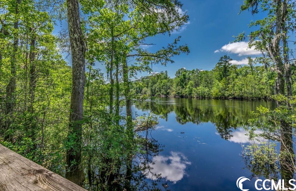 418 Channel View Drive Conway, SC 29527 - Photo 33 of 36 Gallery Image 33