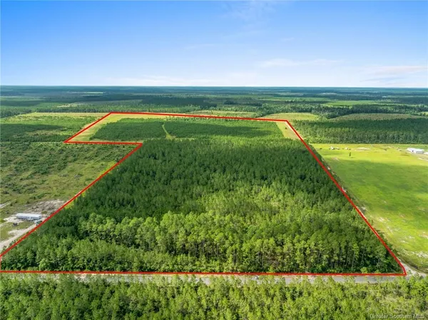 $527,120 | 0 Rea Road, Deridder, LA 70634