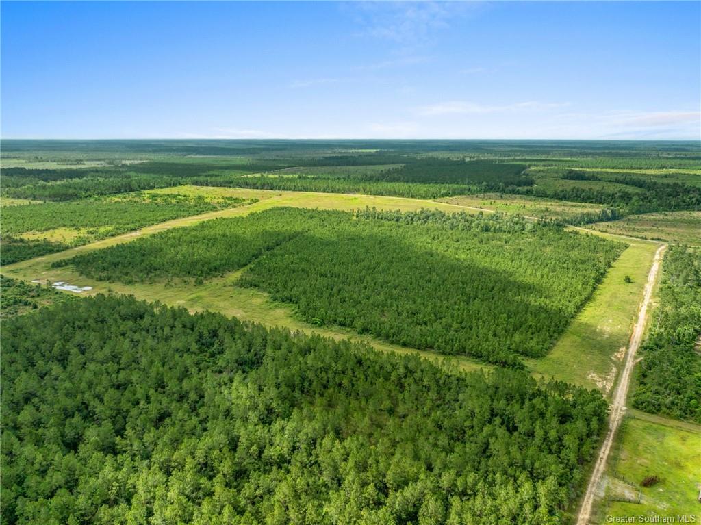 0 Rea Road Deridder, LA 70634 - Photo 4 of 8
