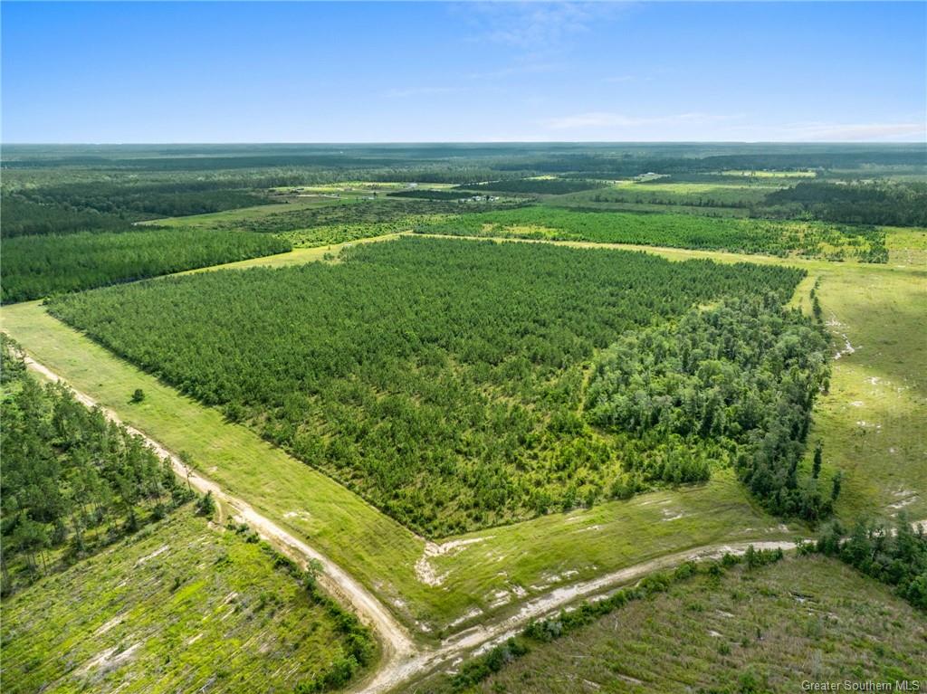 0 Rea Road Deridder, LA 70634 - Photo 6 of 8